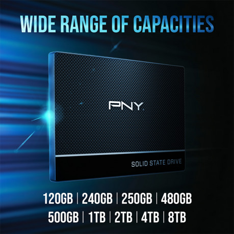 PNY CS900 250GB 535/500MB/s 2,5