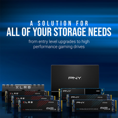 PNY CS900 250GB 535/500MB/s 2,5